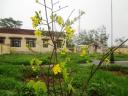 DSC02915 - DSC02915.JPG