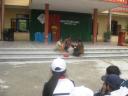 IMG_0013.JPG - 